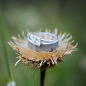 Whitney Metting's photo