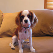 Jane Siegel's photo