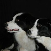 Sandra Harnacke's photo