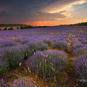 Hristina Petrova's photo