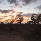 Netta Alon Shaliv's photo