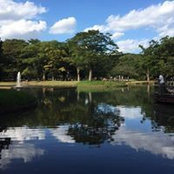 赤リンゴs foto