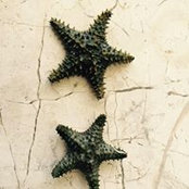 Judy Ball's photo
