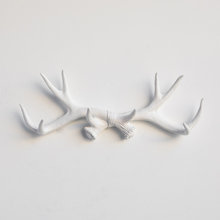 gfvalkyrie's Ideas