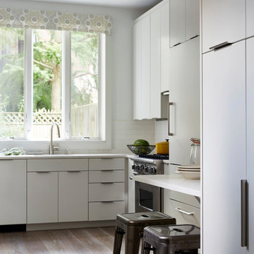 Clean and Crisp Modern Kitchen