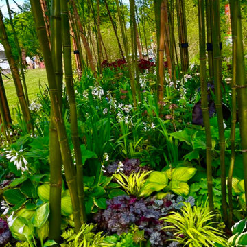 Coexist Habitat Living " Dancing with Nature"