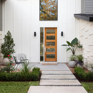 Cette photo montre un jardin tendance.