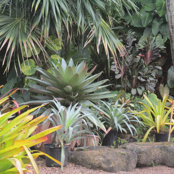 Miami Tropical Landscaping
