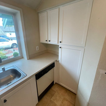 Custom Pantry Cabinet & Kitchen Refresh | Valrico, FL