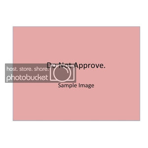 Blanco Meridian Semi Professional Kitchen Faucet Contemporary