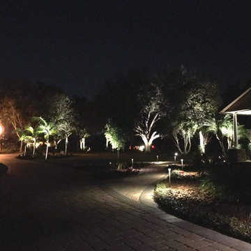 Nancy's Pomegranate Manor