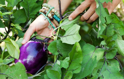World of Design: 10 Home Gardeners Show Us Their Bountiful Harvests