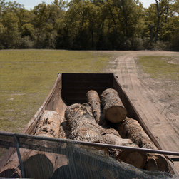 Salvaging Texas Post Oak trees for hardwood floors - Products