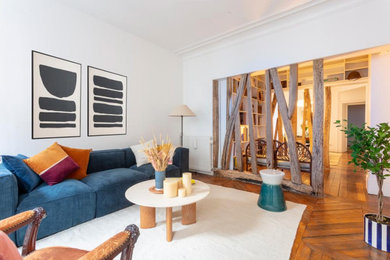 Example of a classic living room design in Paris
