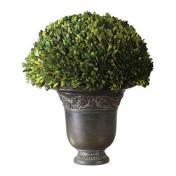 www.essentialsinside.com: preserved boxwood globe botanical plant - Artwork