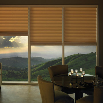 HunterDouglas VIGNETTE® MODERN ROMAN SHADES