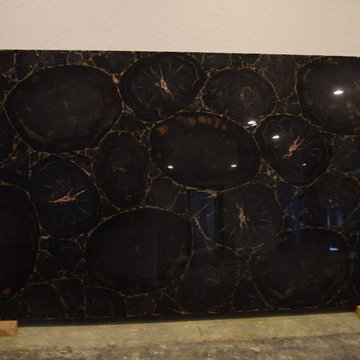 Petrified Wood Slab
