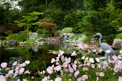 Photo of a huge asian backyard landscaping in Boston.