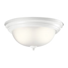 Light Fixtures