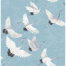 Wall Murals