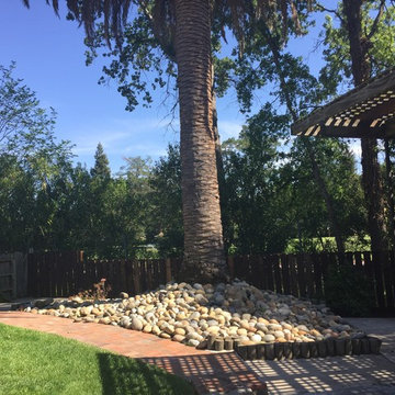 Design Dilemma: Help with what to replace rocks with to make that space prettier