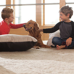 Lee's Carpet - Kid and Pet Safe - Flooring