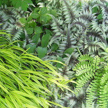 Landscape and Outdoor Inspiration