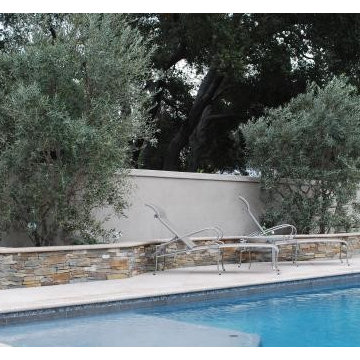 Garden Scenes
