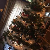 Kristen Thomas's photo