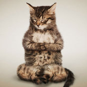Stephanie Peltier's photo
