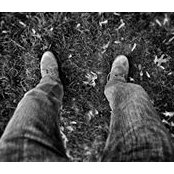 Brian Waltmire's photo