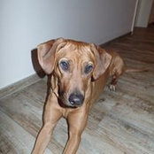 Andreas Grenz's photo