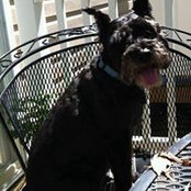 Christa Currey's photo