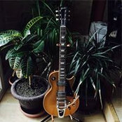 Sylvain Gaudet's photo