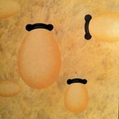 Laura Pierce's photo