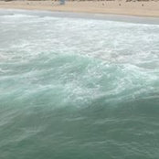 Monica Hoyos's photo