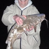 Pat Croghan's photo