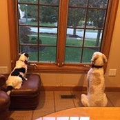 Cheryl Mandell's photo