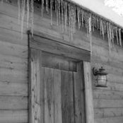 Shelly Kramer's photo