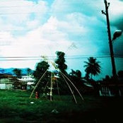 Xie Huaiting's photo