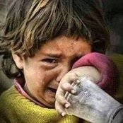 Dilshad Noori's photo
