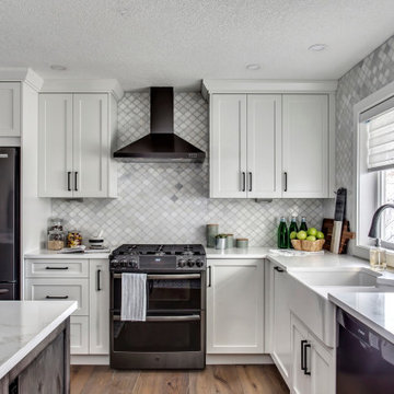 Willow Park Main Floor & Basement Remodel