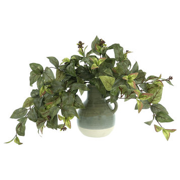 Ivy Arrangement in a Ceramic Vase with Handle