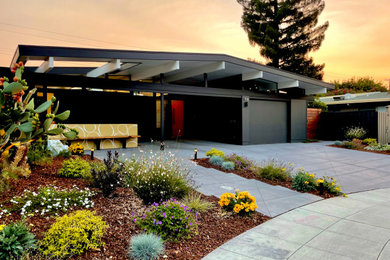 Inspiration for a modern landscaping in San Francisco.