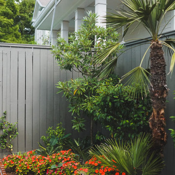 Lower State Street | Tropical Garden with Seasonal Color