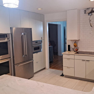 Contemporary Kitchen Remodel