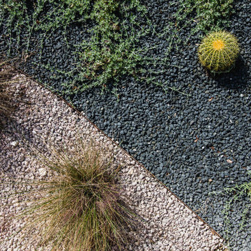 Barton Hills Modern Xeriscape