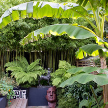 Garden Planting