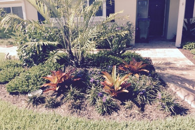 Inspiration for a tropical front yard xeriscape in Tampa.