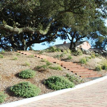 Atascadero Oak Woodland